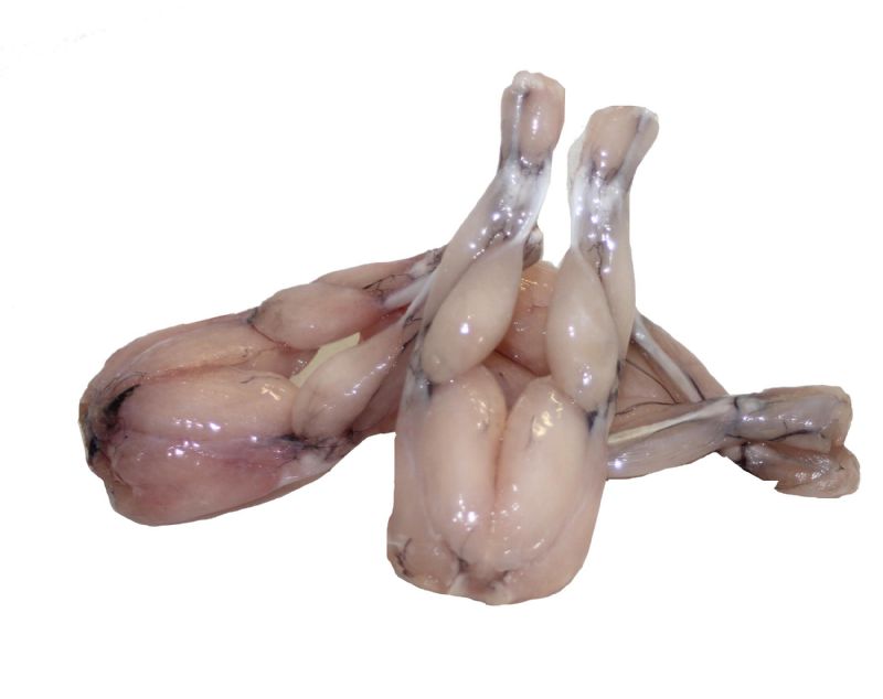 FROG LEGS RETAIL BOX