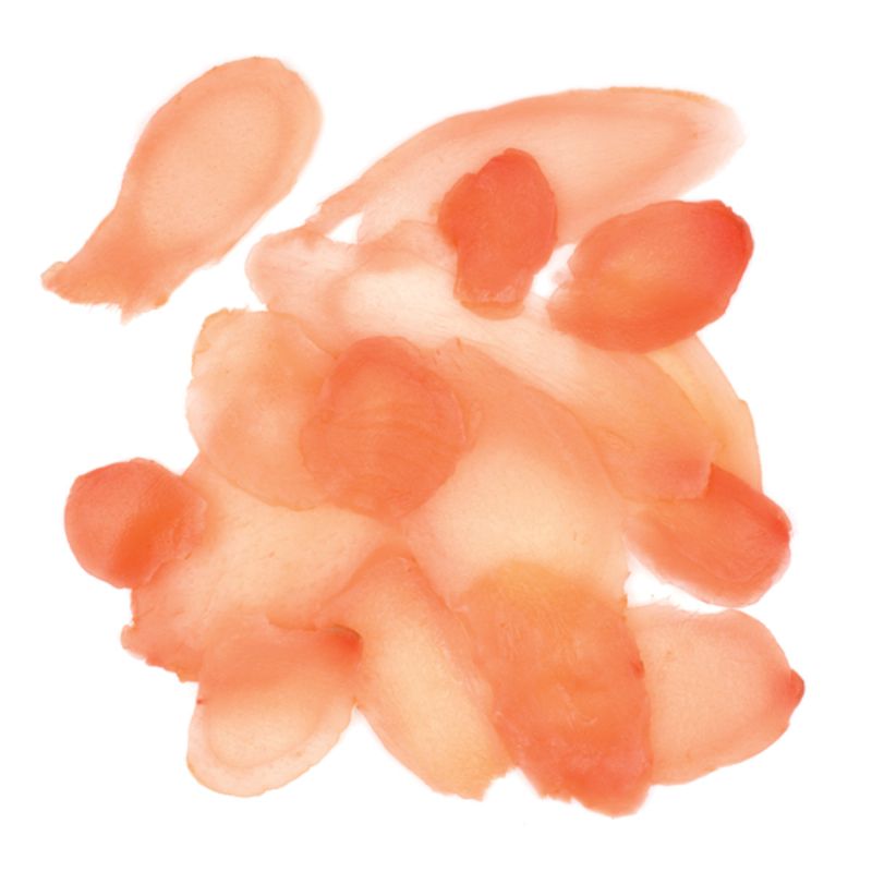 GINGER SUSHI SHOGA