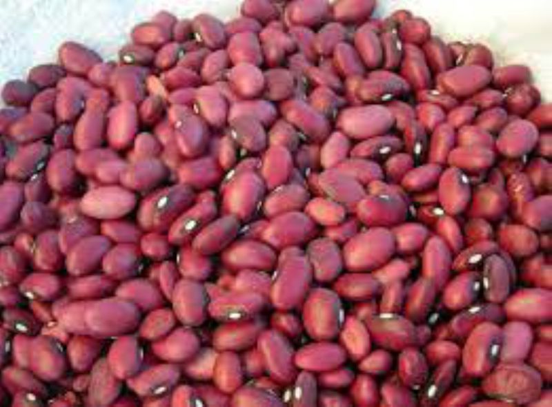 BEAN RED SMALL DRY
