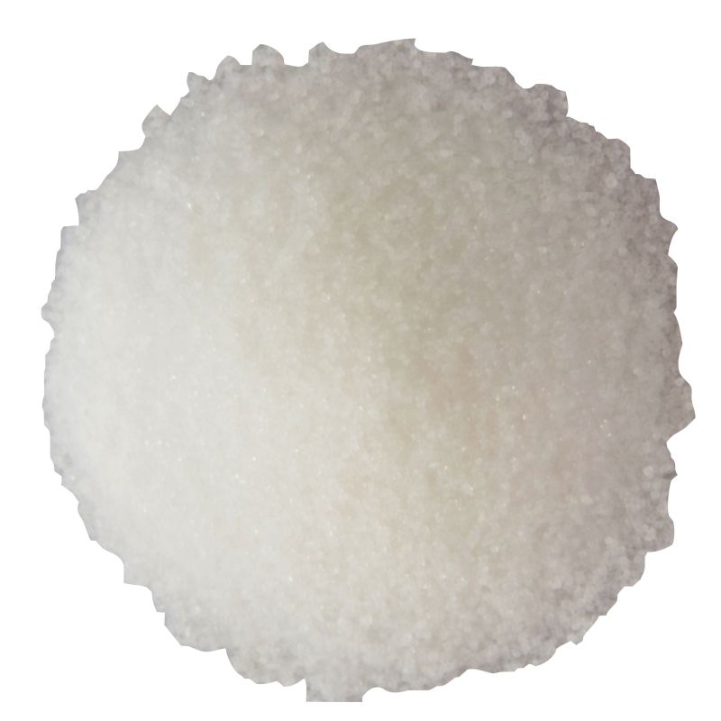 SALT PACKET FLAT