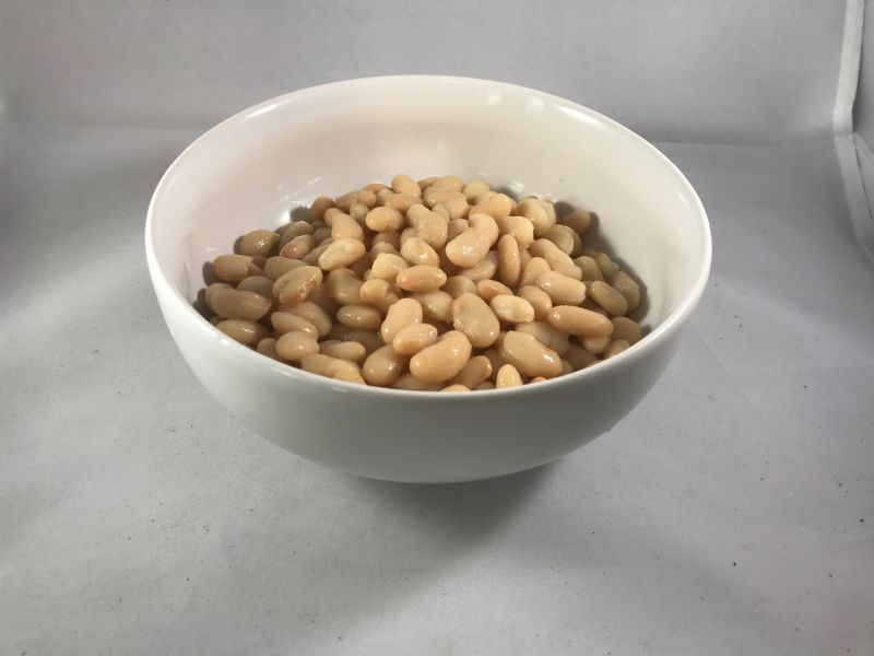 BEAN GREAT NORTHERN