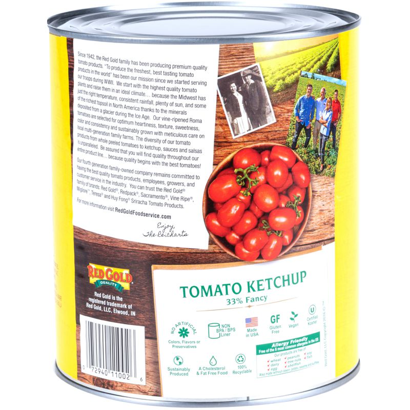 KETCHUP FANCY 33 %