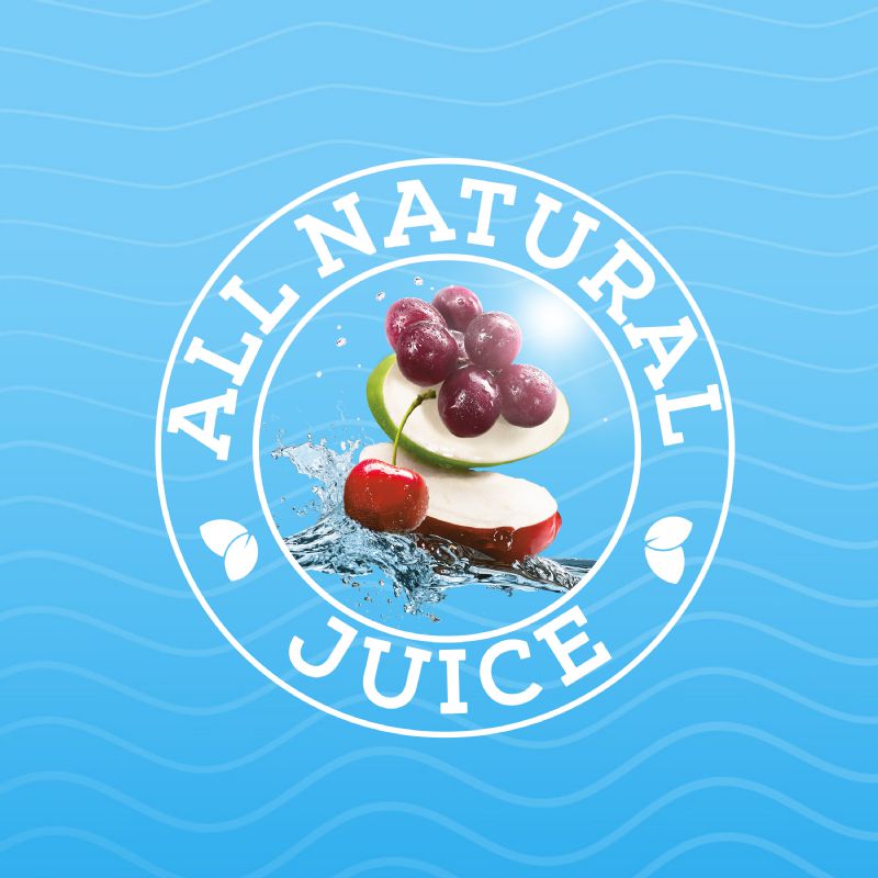 JUICE FRUIT PUNCH