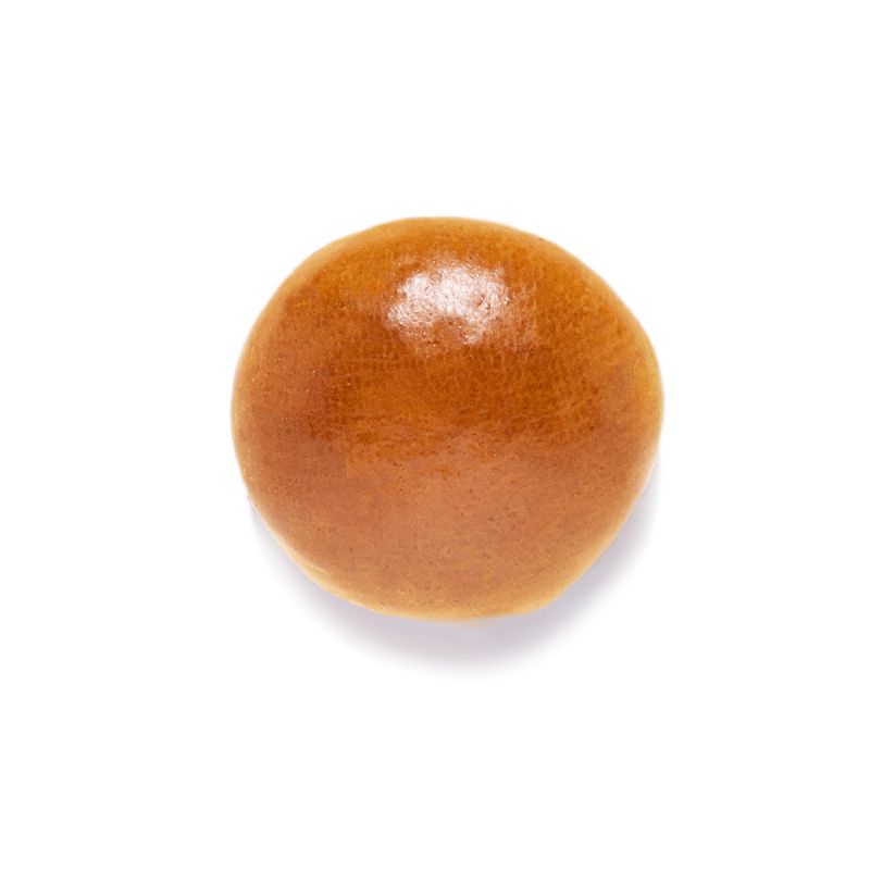 BUN BRIOCHE GLOSSY 4