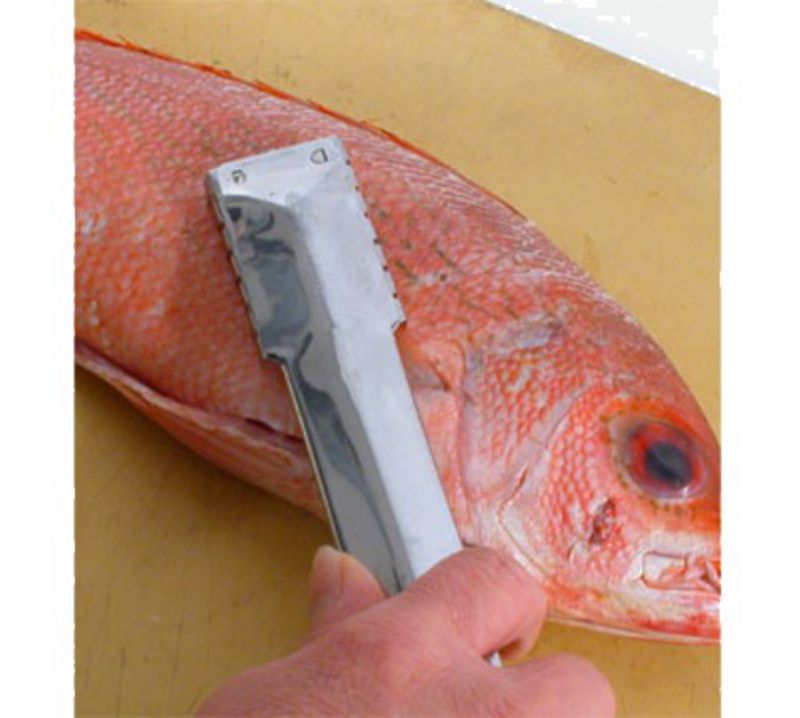 FISH SCALER S/S 9