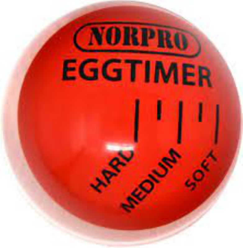 TIMER EGG