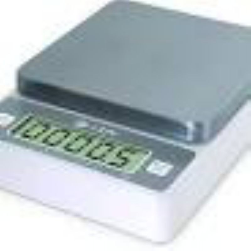 SCALE PORTION/DIGITAL SQUARE 11#