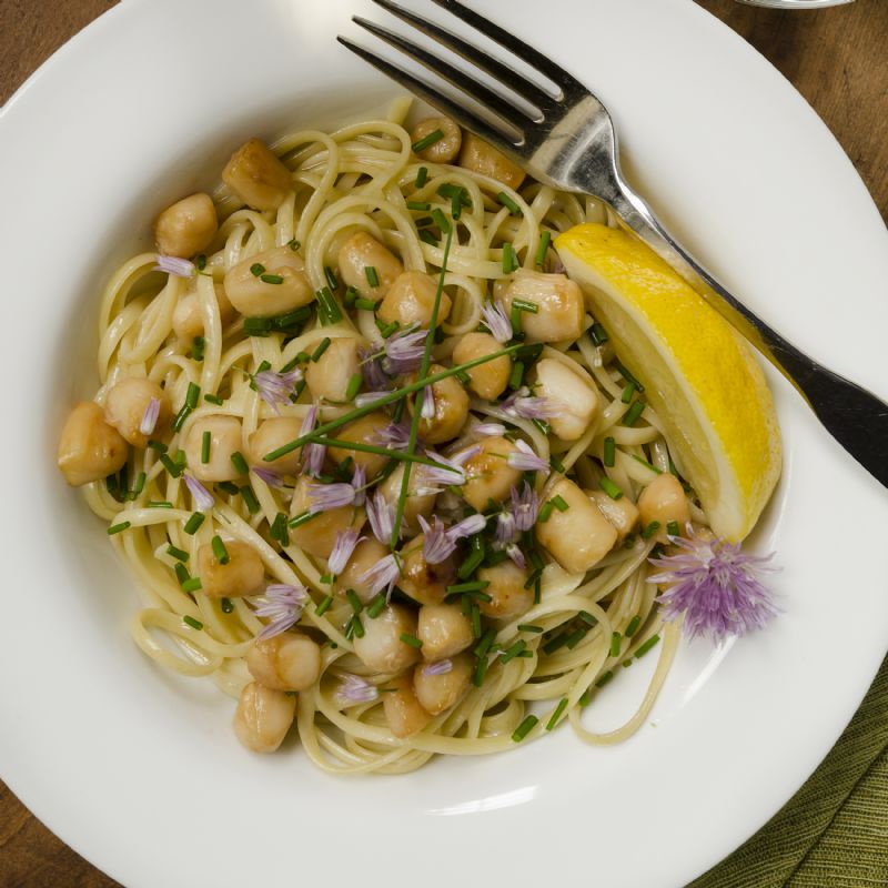 BAY SCALLOPS 12 1 LB CASE